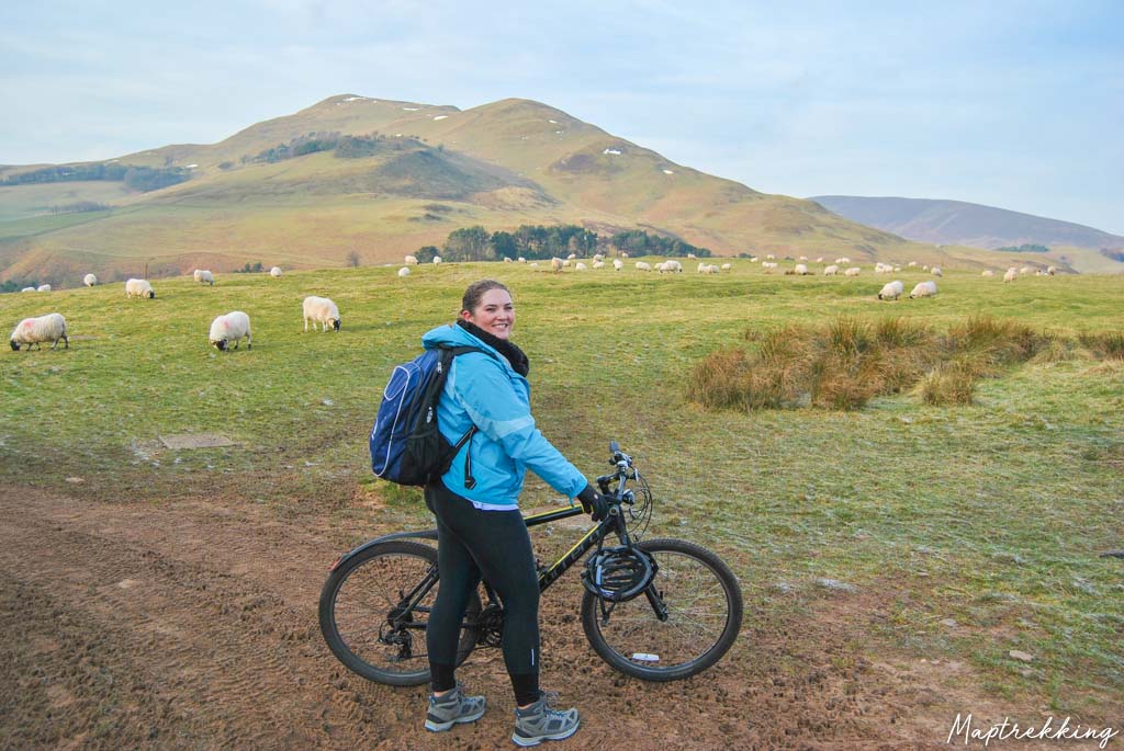 Maria is biking among sheep and finding that travel is good for the soul