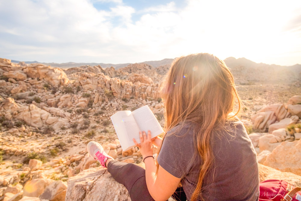 a lady holding a slow travel book looking out over a beautiful sunny canyon
