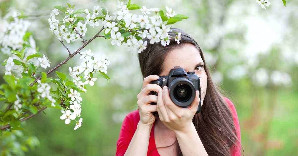 best cameras for bloggers