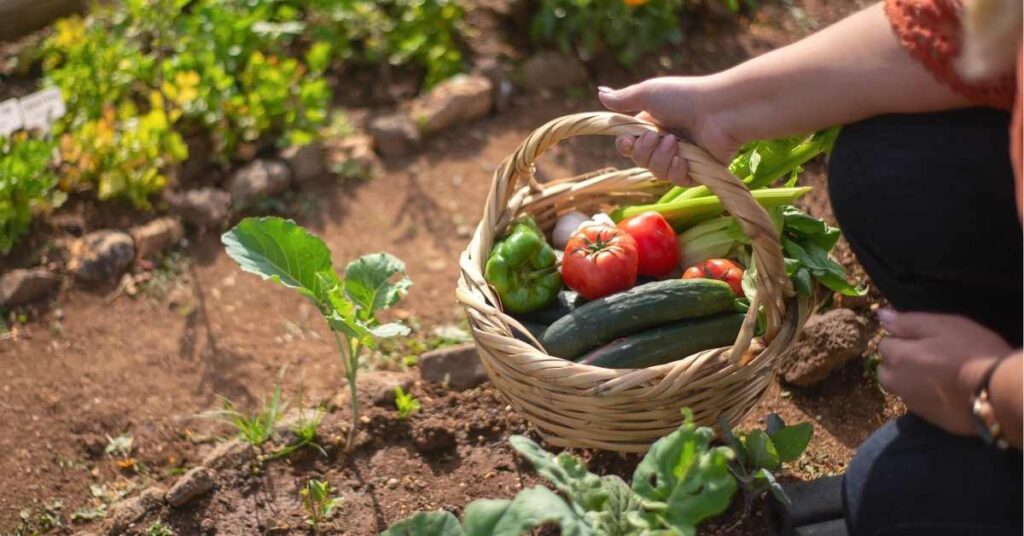 What Do House Sitters Do? 9 House Sitting Duties You Should Know