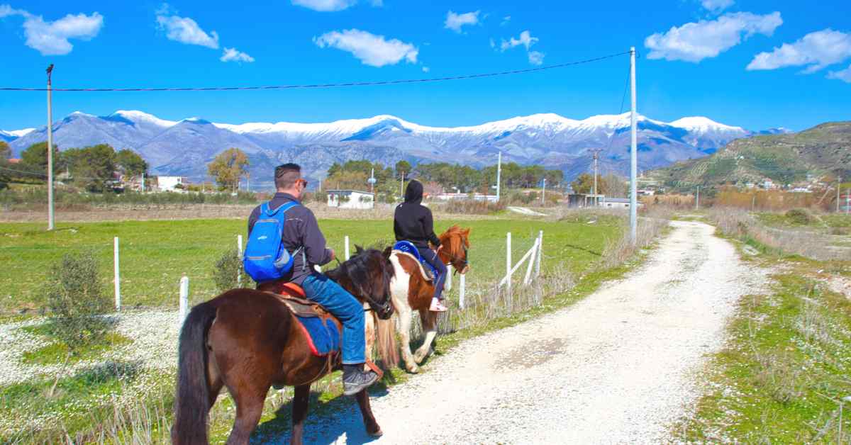 travel insurance for Albania