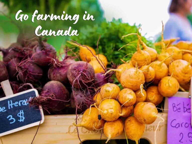 Farming in Canada