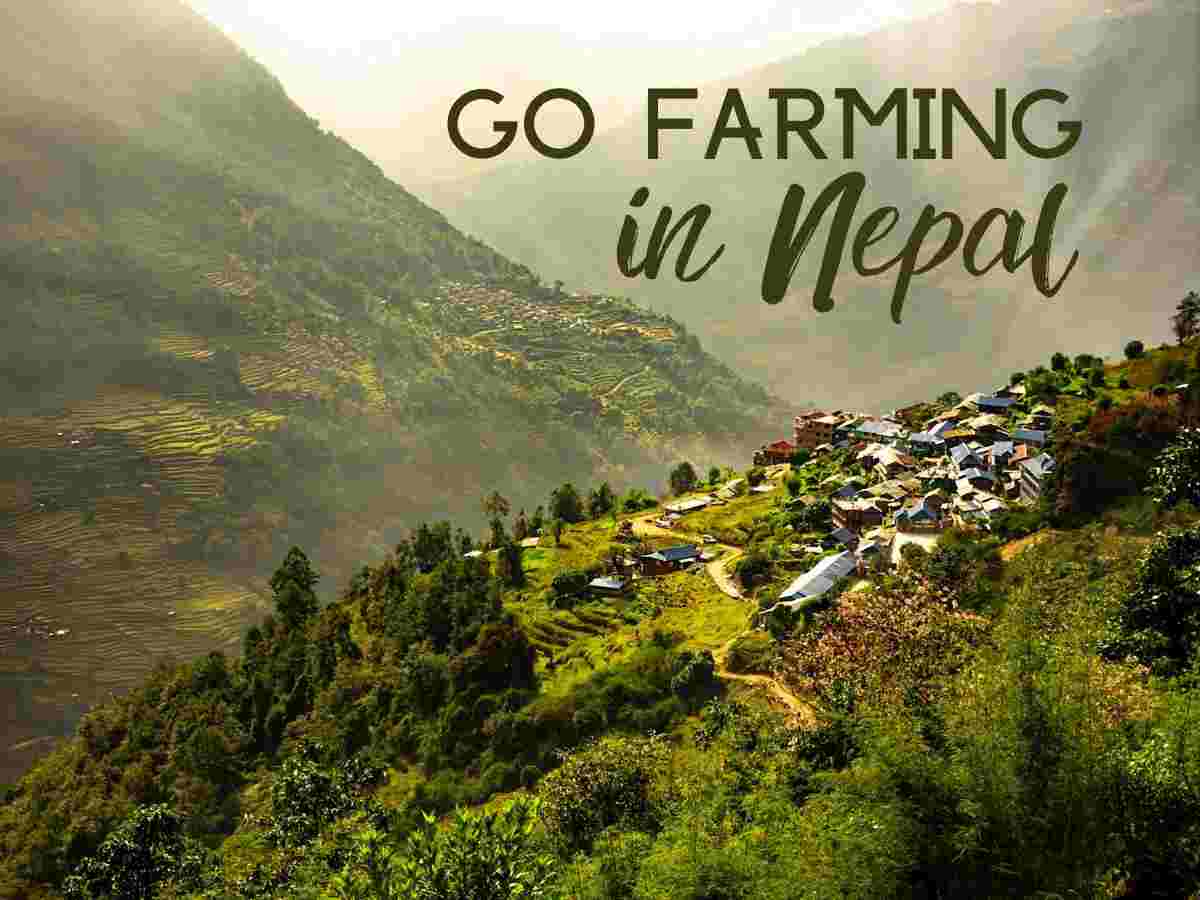 Organic farming in Nepal