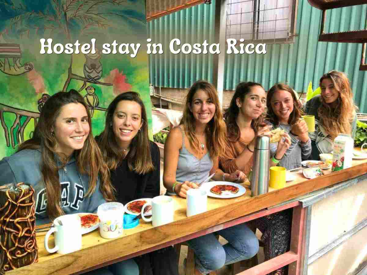 hostel volunteering in monteverde cloud forest costa rica