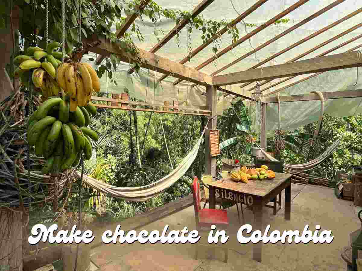 learn chocolate making colombia