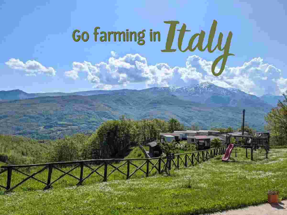 Mountain farm stay volunteering in Italy