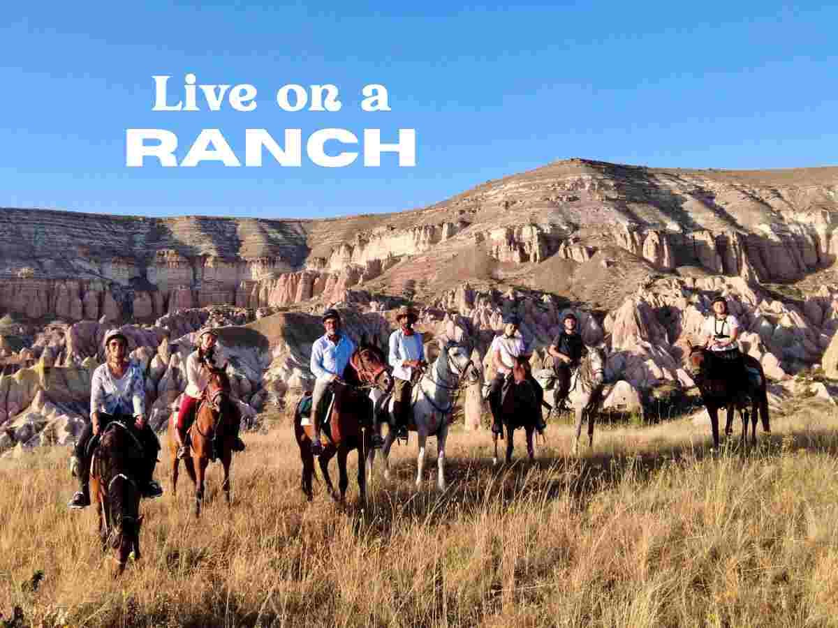 Farmstay volunteering in Turkey Horse ranch in Cappadocia