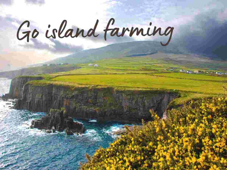 volunteer farm stay Achill Island Ireland